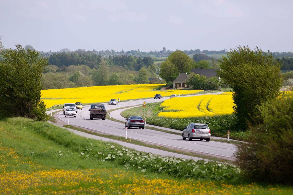 Bropåkørsel på Sydmotorvejen Lukker Nordgående Trafik ved Vordingborg — image 2