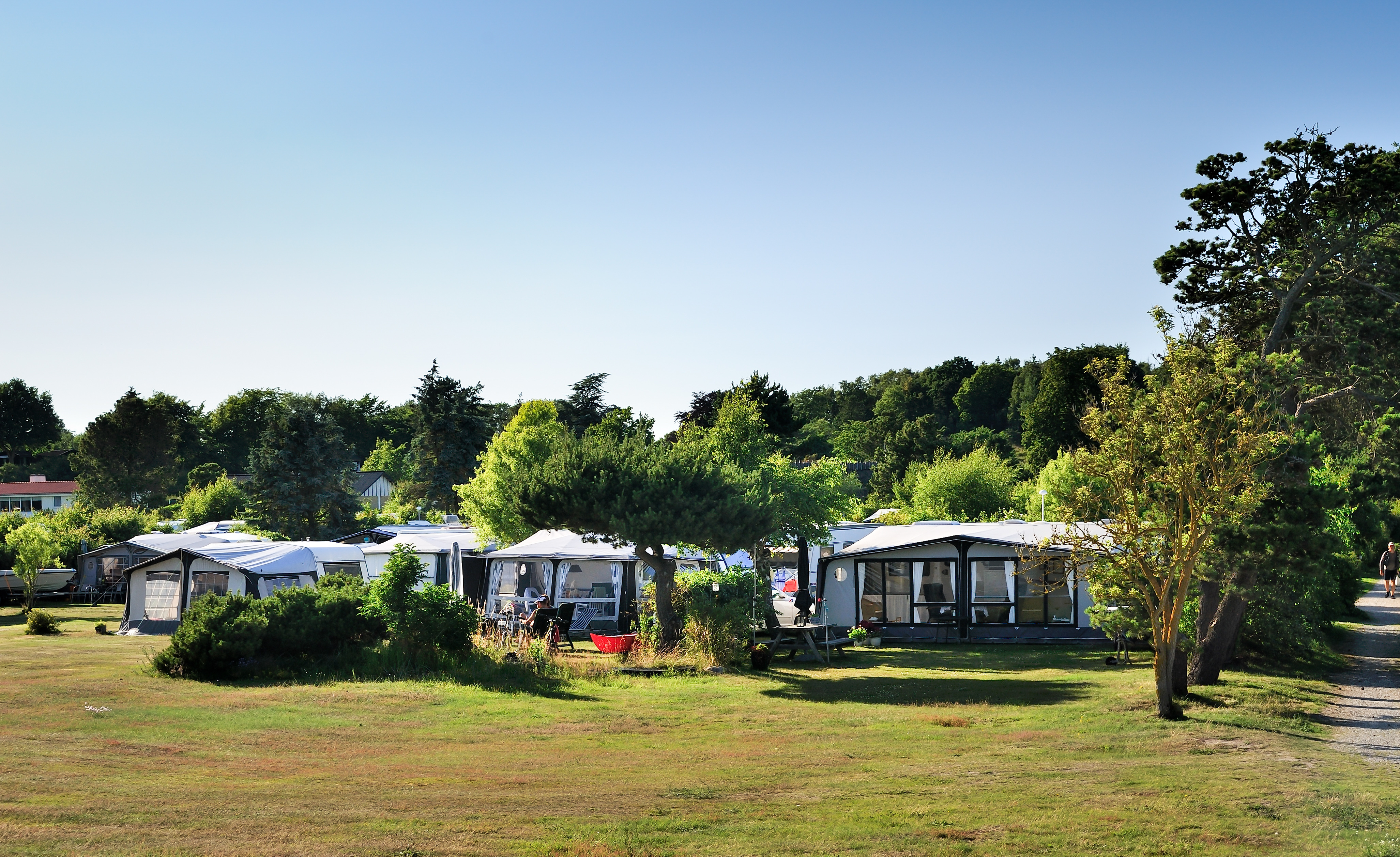 Foto af større telte, der er opslået på en campingplads