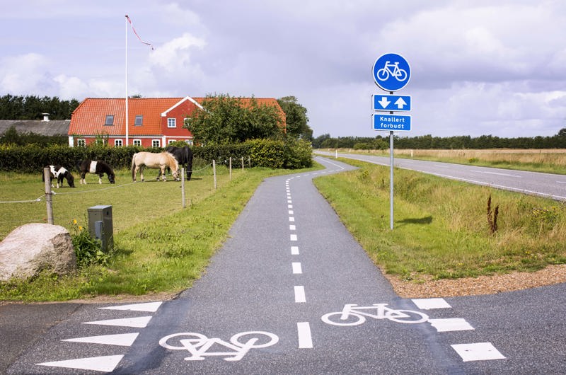 Krydsning på dobbeltrettet cykelsti med marker og køer i baggrunden.
